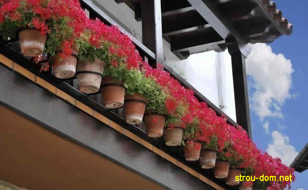 Цветы в горшках на южной стороне балкона