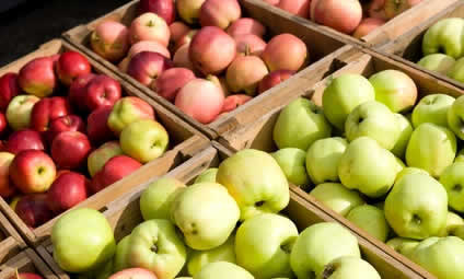 Хранение яблок в ящиках